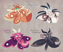 Moth Kit Auction! [CLOSED]