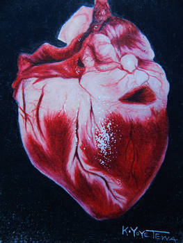 Got me up all night.. (realistic heart study)