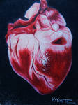 Got me up all night.. (realistic heart study) by hatterfox