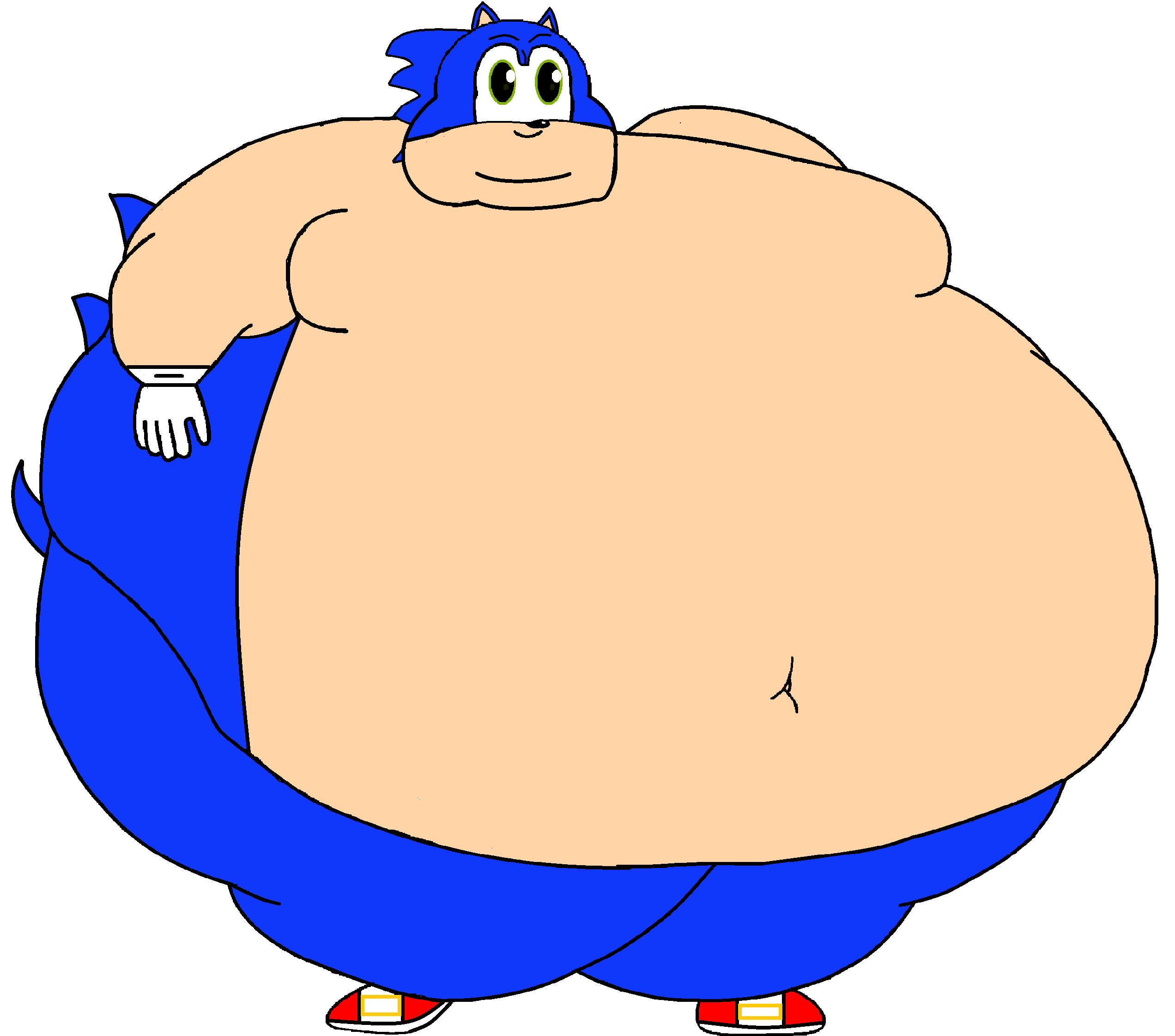 Fat Sonic The Headgehog by Spyro1Mario2 on DeviantArt