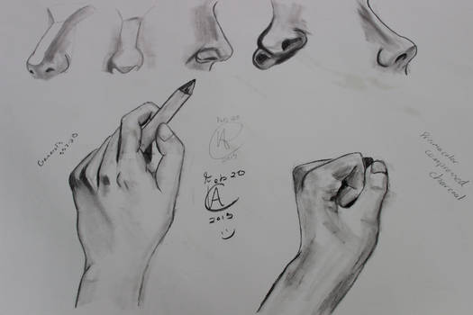 noses and hands mmmmm