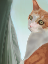 Cat WIP