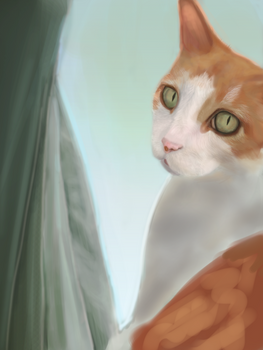 Cat WIP 2