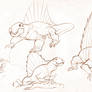 Dimetrodon sketchs