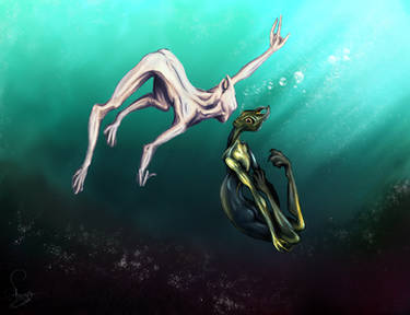 Swimming Salarians