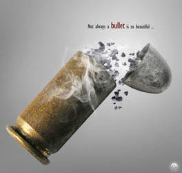 a bullet