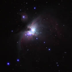 M42: First Steps