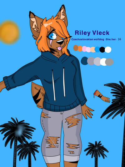 Riley reference sheet 2019- 2020 by Sopapillathewolf on DeviantArt