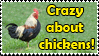 Crazy About Chickens