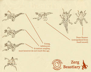 OD: Zerg Beastiary - Zergling