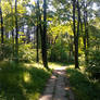 The Stone Walkway