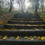 Autumnal Stairways