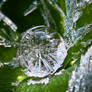 Ice Drop