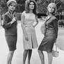 Ann-Margret,Pamela Tiffin and Carol Lynley