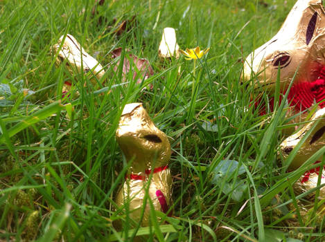 Lindt Bunnies