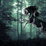 Winchester | Equine Photomanipulation