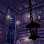 -+ Night in the Library +-