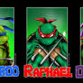 All 4 Turtle Portraits