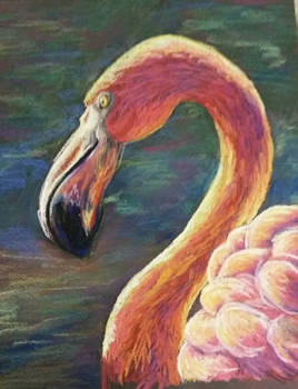 Pink Flamingo