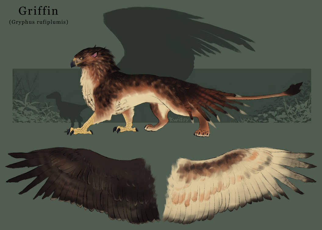 Griffin Concept Art by EryyththeDragon on DeviantArt