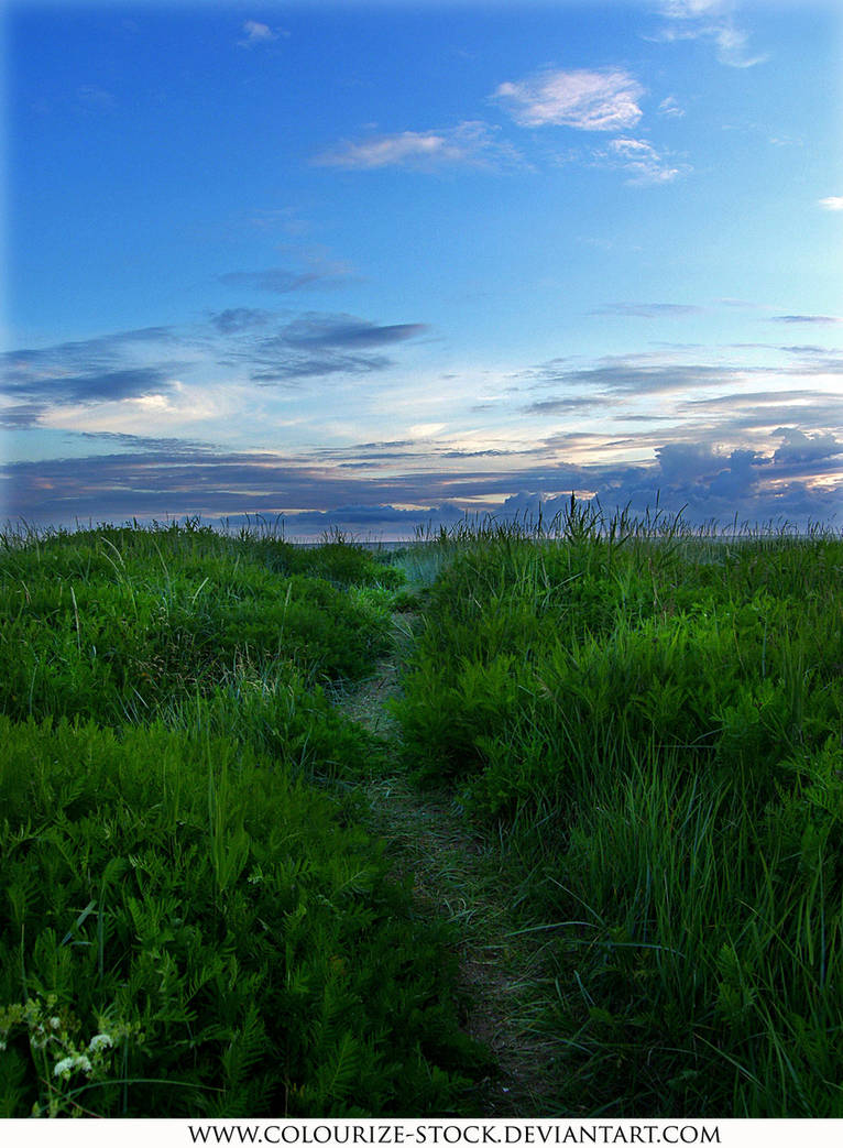 Landscape Stock 5 by Colourize-Stock