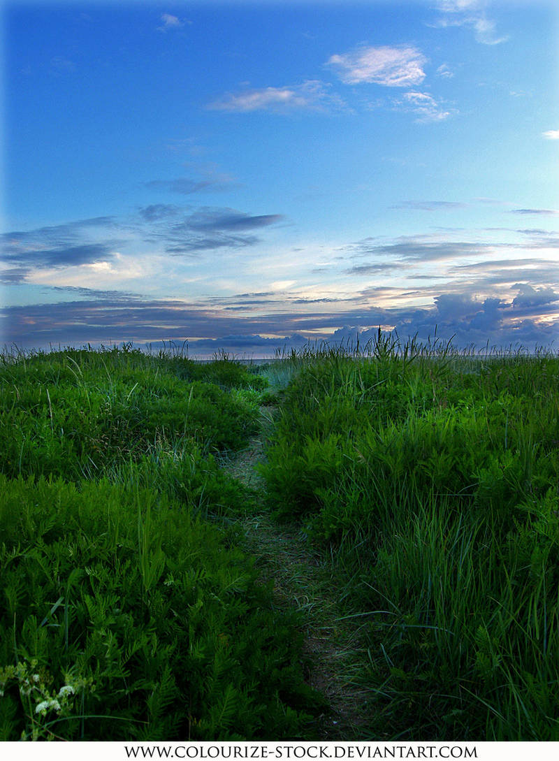 Landscape Stock 5 by Colourize-Stock