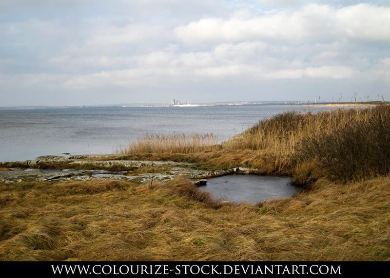Landscape Stock 29