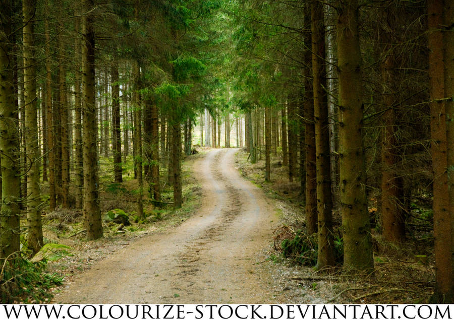 Landscape Stock 58 by Colourize-Stock