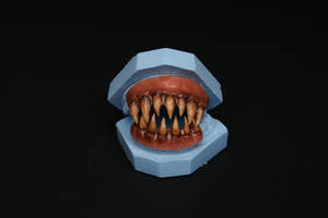 Custom sculpted and painted teeth