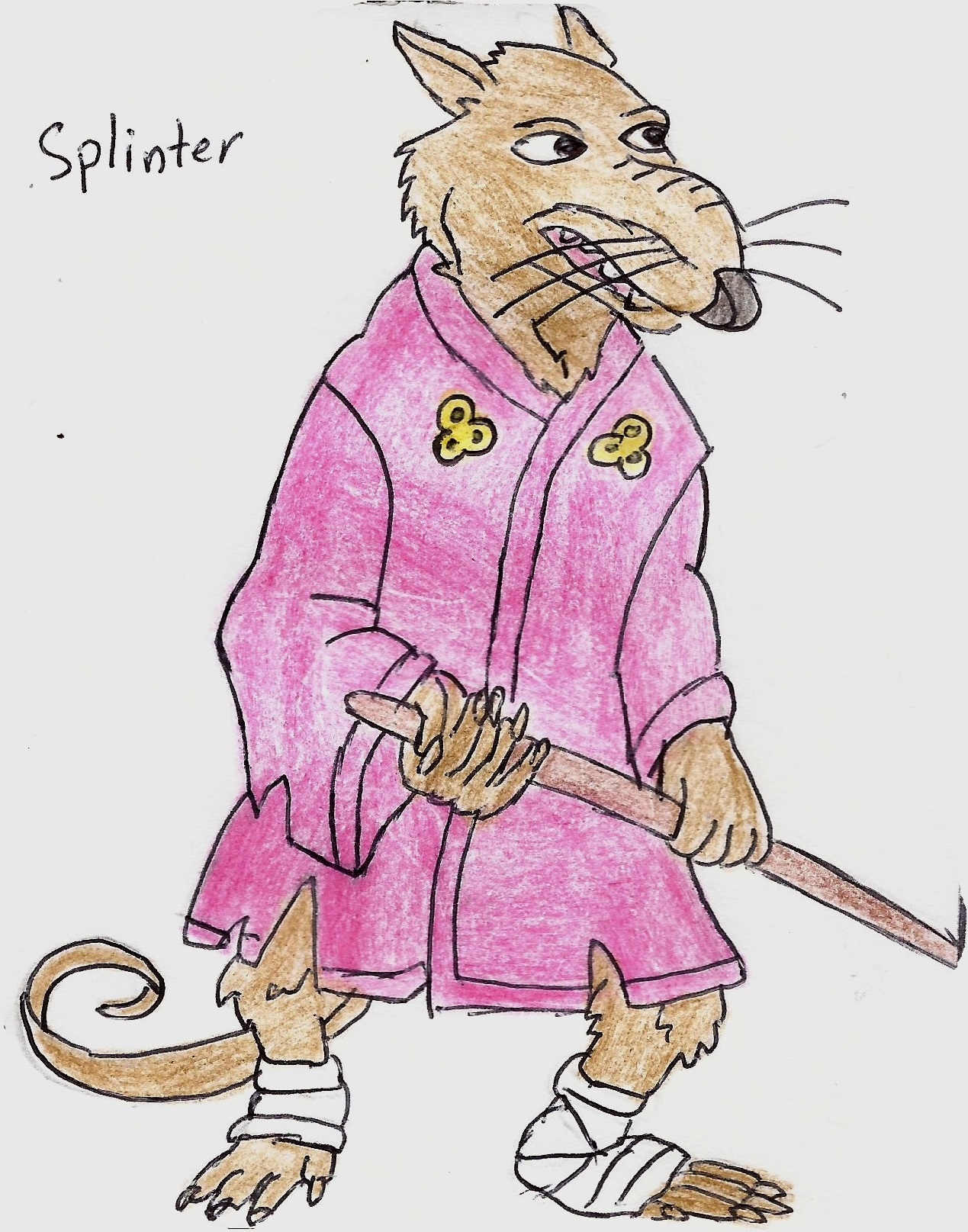 TMNT Splinter by UnicronHound on DeviantArt