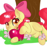 Apple Bloom