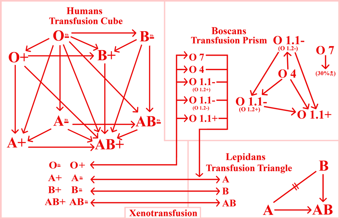 Transfusion Chain Transfusion Chart by LucasHC90 on DeviantArt