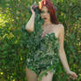 Poison Ivy