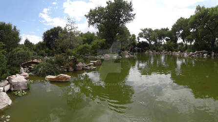 Waterscape in the Garden