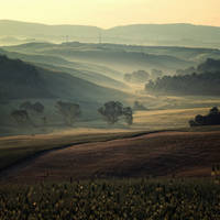 terre di toscana 0649