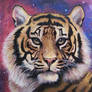Space Tiger