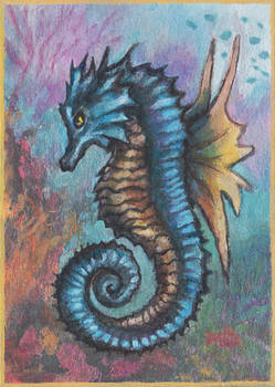 Seadra [ACEO]