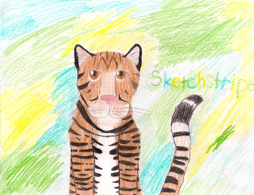 Sketchstripe