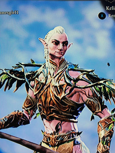 Divinity Elf Monster Divinity Elf Warden by HarleyQuinnsPuddin6 on DeviantArt