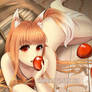 Spice and Wolf: Horo the Wise