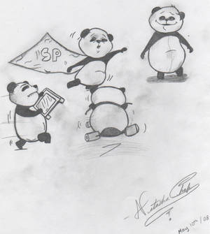 The Panda's