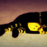 Scorpion cat