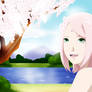 Sakura Haruno fan art-Spring