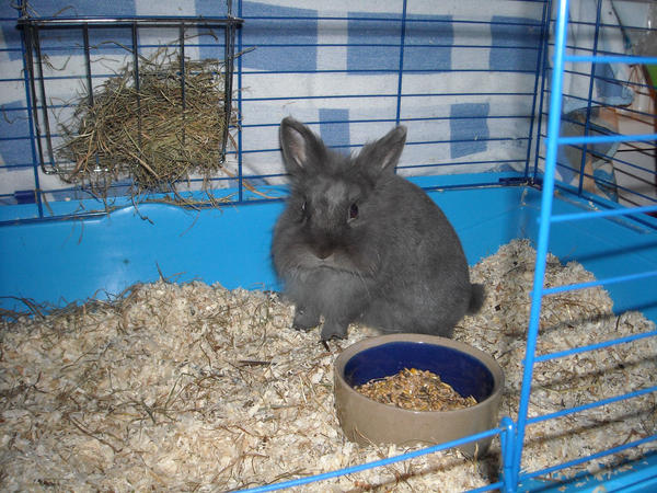 real-life-Teddy 2 by almondblossom on DeviantArt