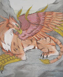 Tiger Griffin