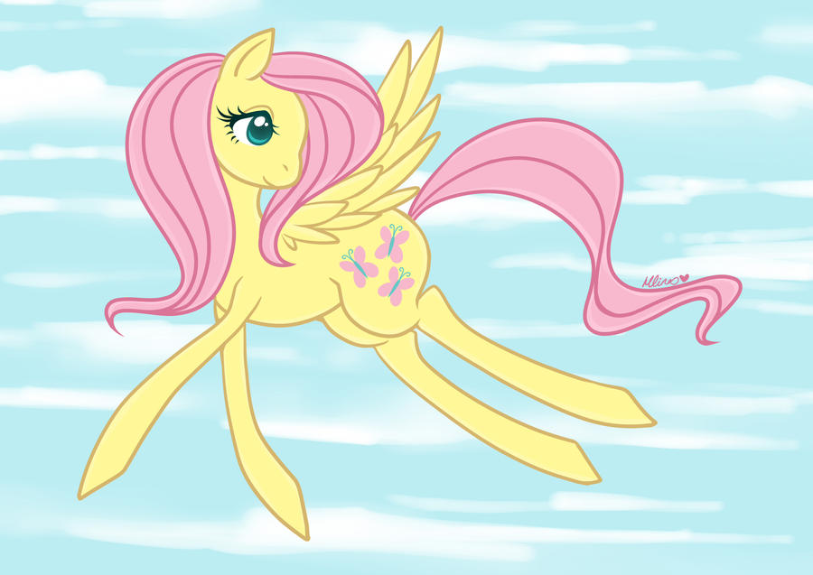 Flutter Fly