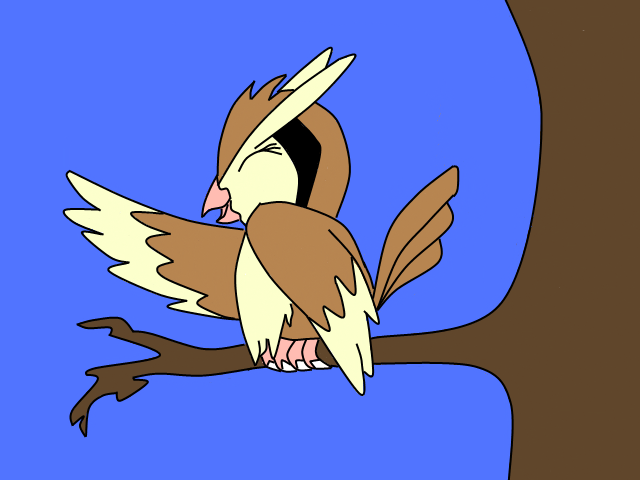 Random Pidgey