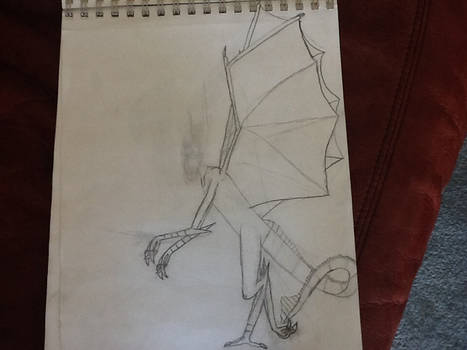 Dragonoid sketch