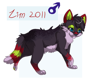 Lim 2o11 Reference Sheet