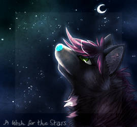 A Wish for the Stars -REMAKE-